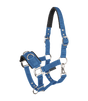 Economic Lunging Halter
