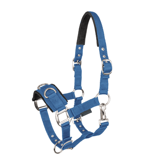 Economic Lunging Halter