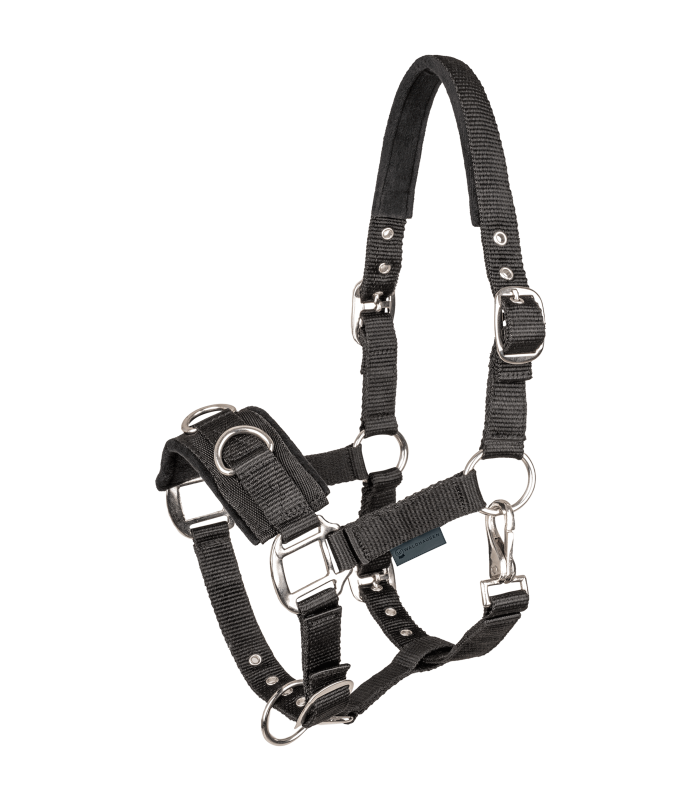 Economic Lunging Halter