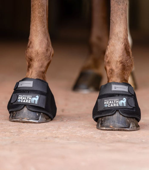 Cooling Hoof Boot