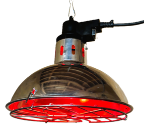Heatlamp Infrared wih Dimmer (Wide Shade)