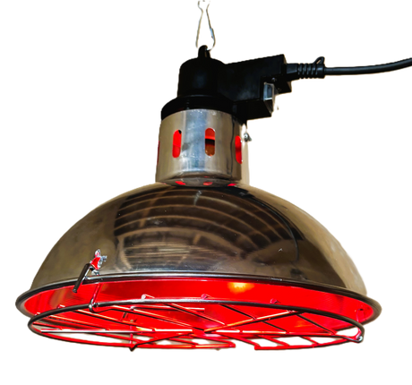Heatlamp Infrared wih Dimmer (Wide Shade)
