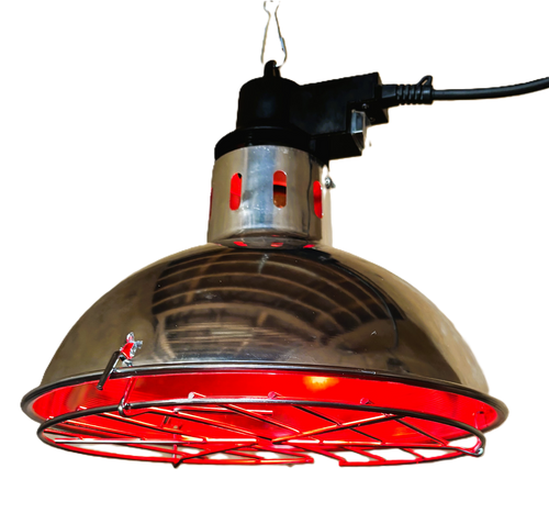Heatlamp Infrared wih Dimmer (Wide Shade)