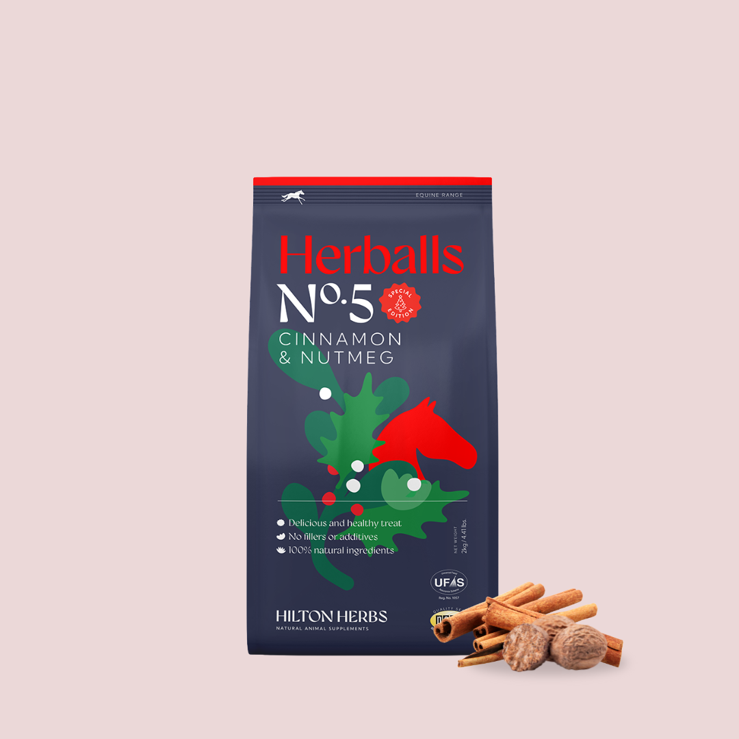 Hilton Herbs Herballs No 5