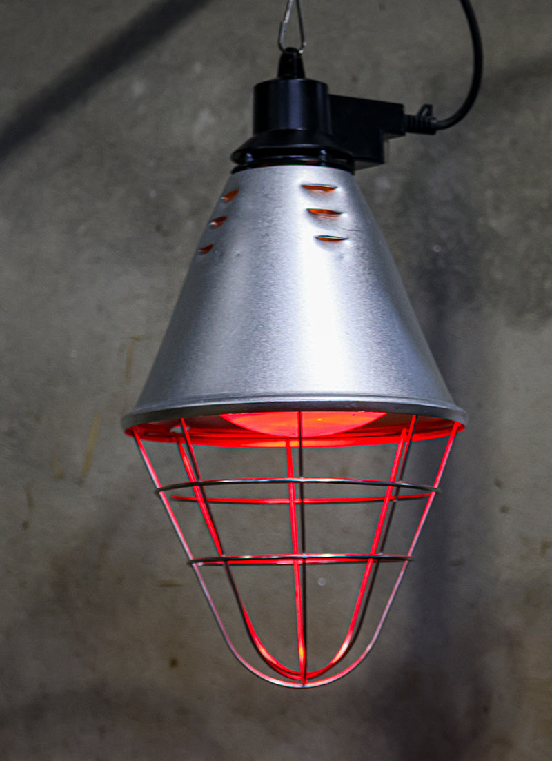 Heatlamp Infrared with Dimmer Standard Shade - Single