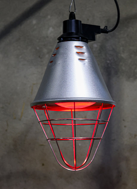 Heatlamp Infrared with Dimmer Standard Shade - Single