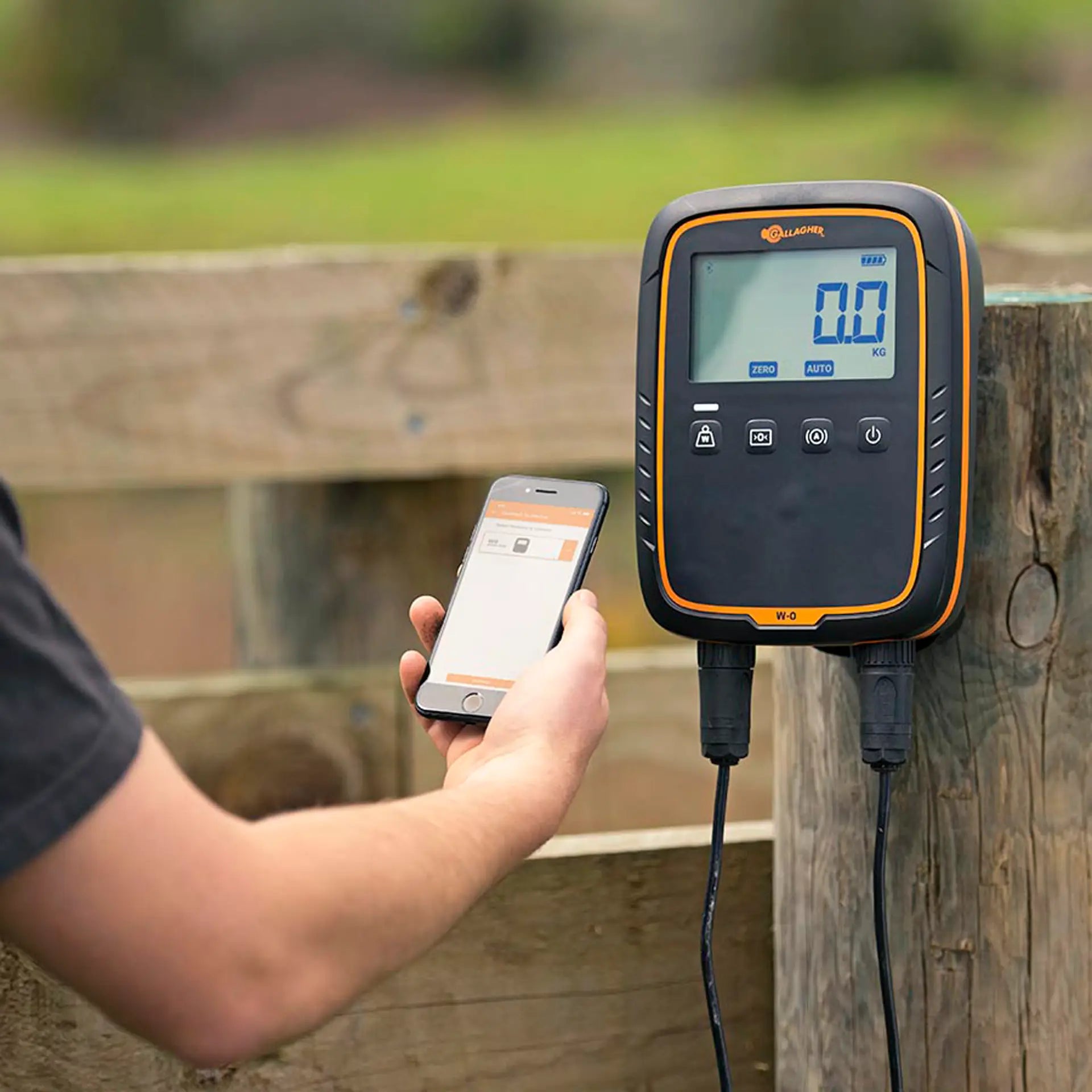 Weighing Indicator W0