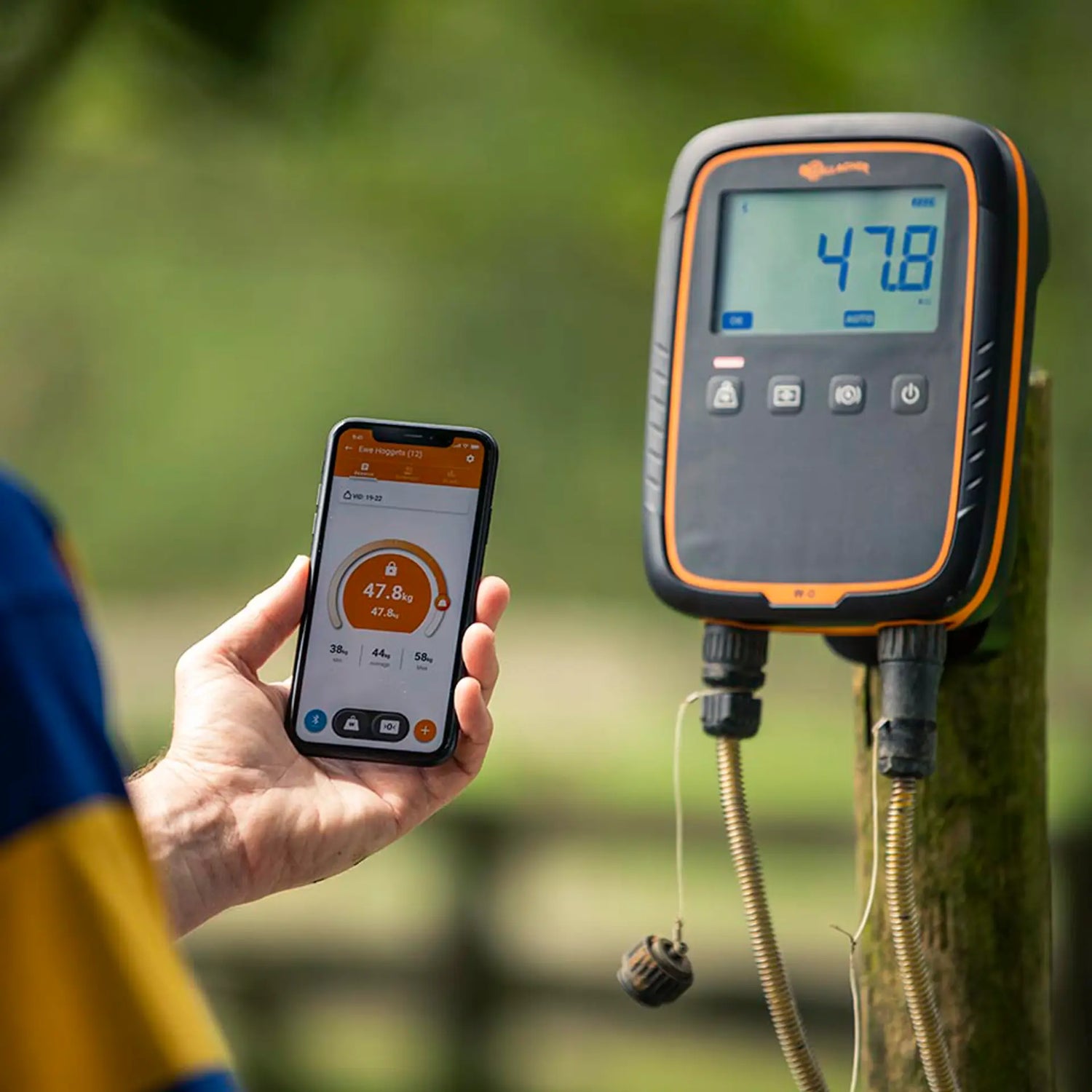Weighing Indicator W0