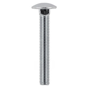 Timco Carriage Bolt - Stainless Steel