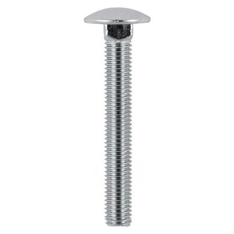 Timco Carriage Bolt - Stainless Steel