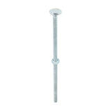 Timco Carriage Bolts & Nuts - Zinc