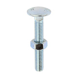 Timco Carriage Bolts & Nuts - Zinc