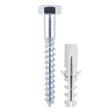 Timco Coach Screw & Nylon Plug