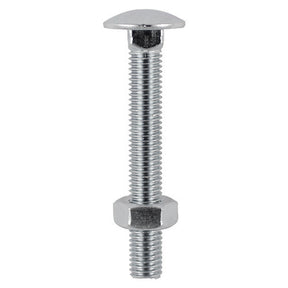 Timco Carriage Bolt & Nut - Stainless Steel