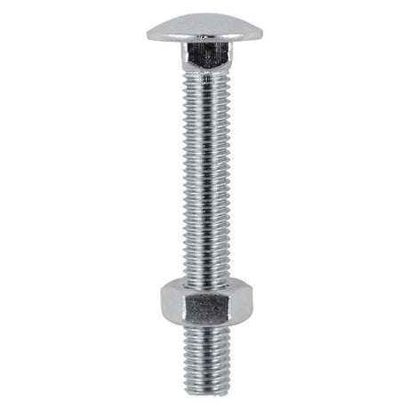 Timco Carriage Bolt & Nut - Stainless Steel