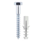 Timco Coach Screw & Nylon Plug
