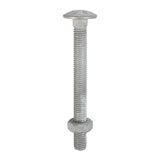 Timco Carriage Bolt & Nut - Hot Dipped Galvanised