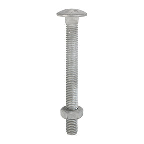 Timco Carriage Bolt & Nut - Hot Dipped Galvanised