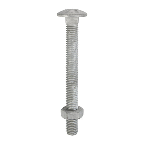 Timco Carriage Bolt & Nut - Hot Dipped Galvanised