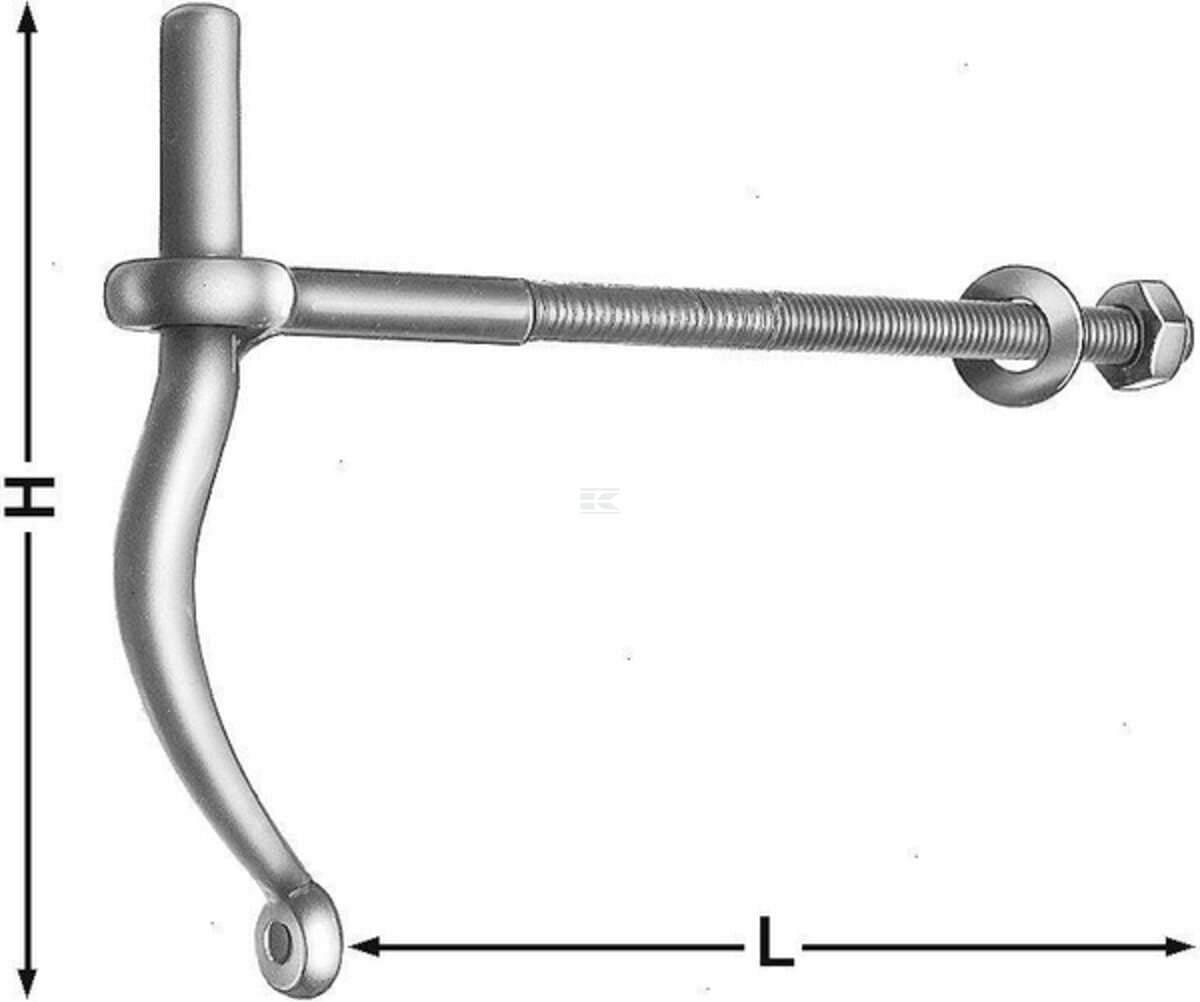 Hook on plate