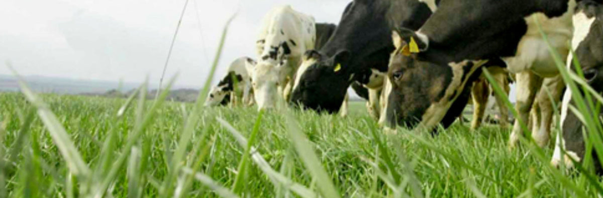Built for Farmers. Backed by Real Product Knowledge.