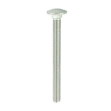 Timco Carriage Bolt - Stainless Steel