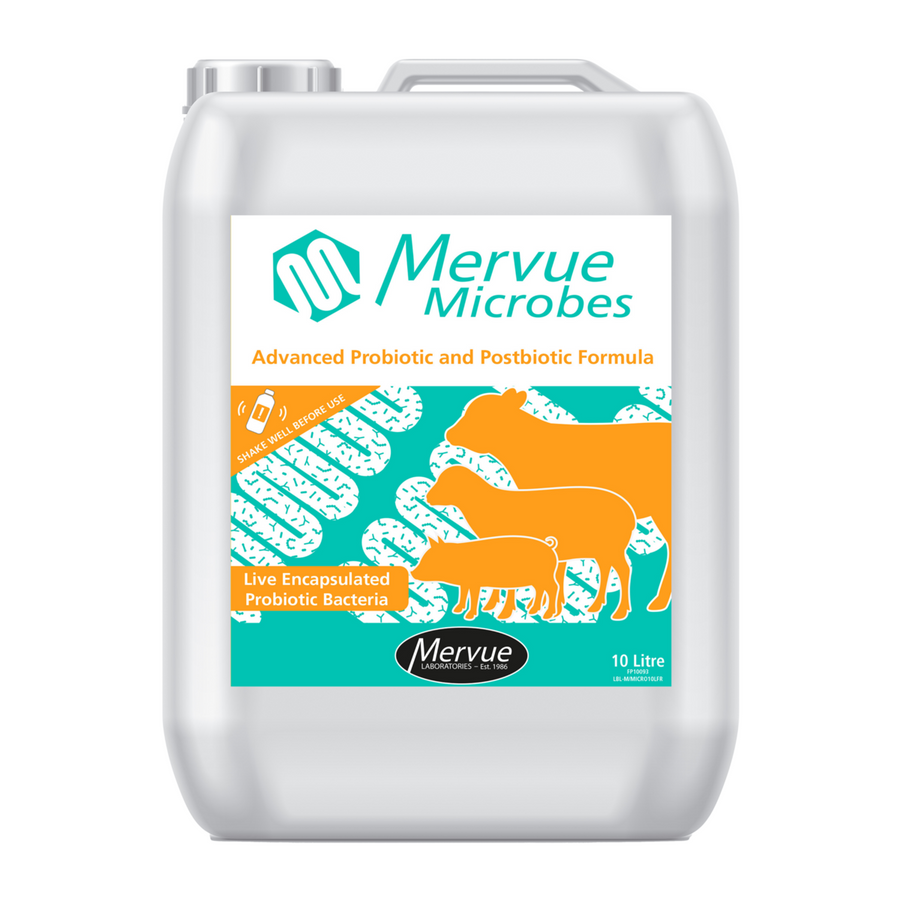 Mervue Microbes