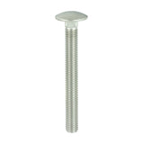 Timco Carriage Bolt - Stainless Steel