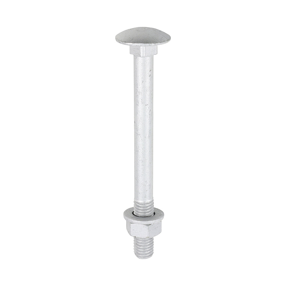 Timco Carriage Bolt, Washer & Nut - Exterior Silver