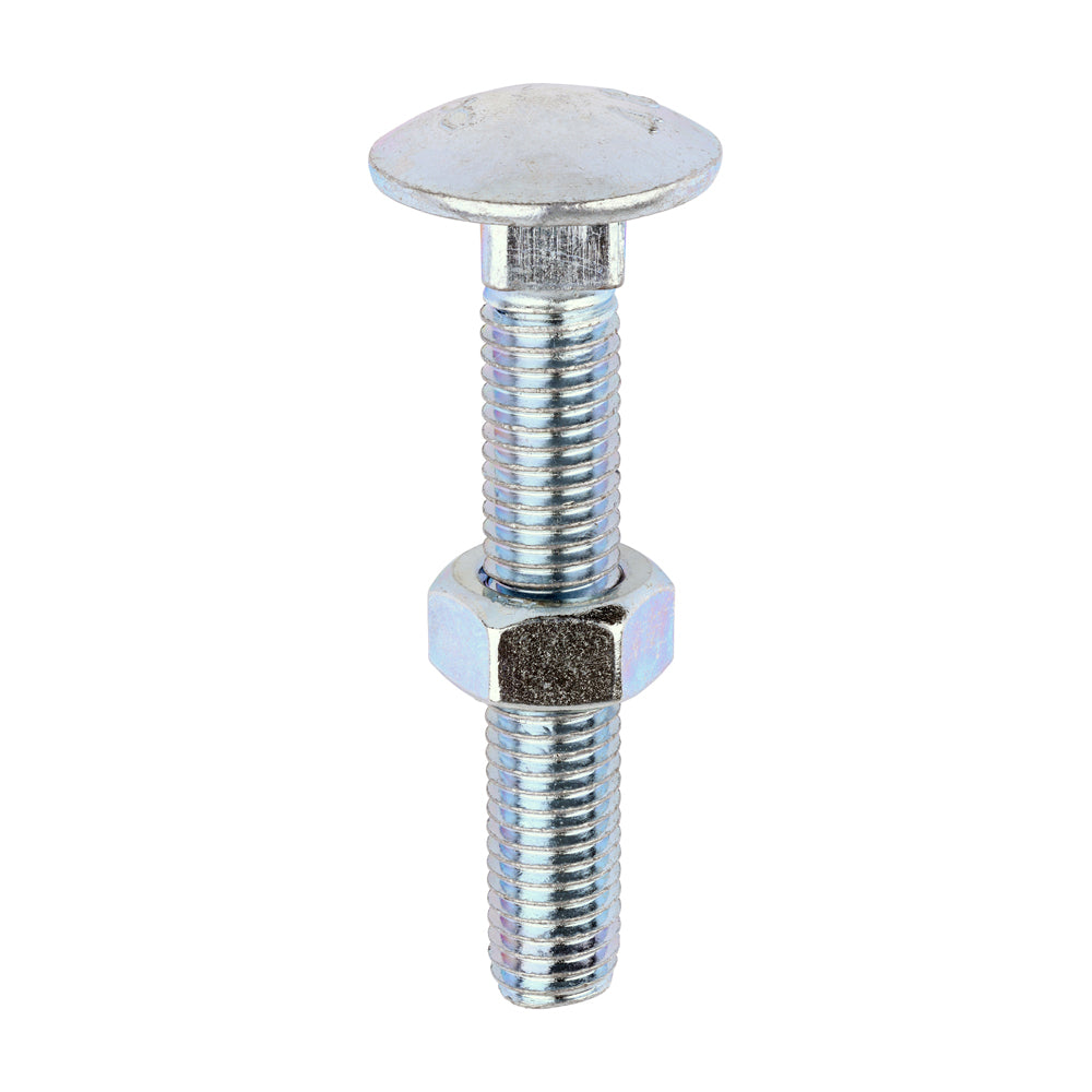 Timco Carriage Bolts & Nuts - Zinc