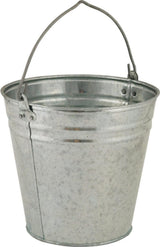 Galvanized bucket