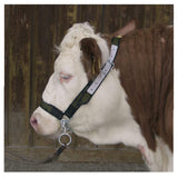 Cow halter with chin chain