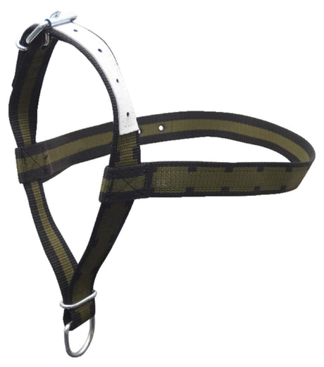 Halter for calves