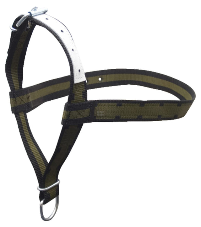 Halter for calves