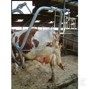 Hoof care frame with leg support
