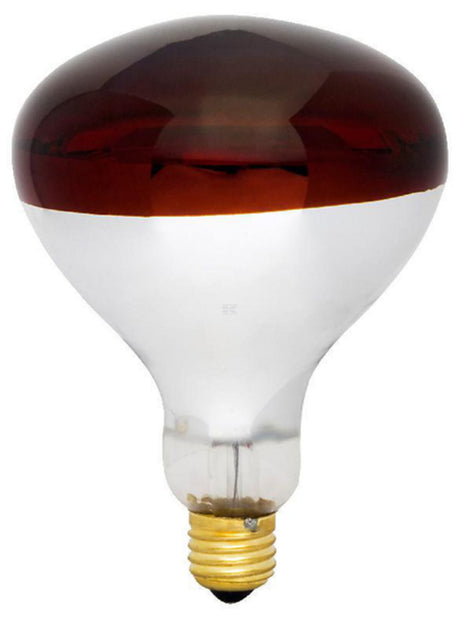 Infared lamp HardGlass