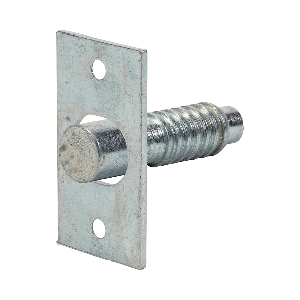 Timco Hinge Bolt