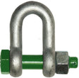 Green Pin D-Shackle D G-4153