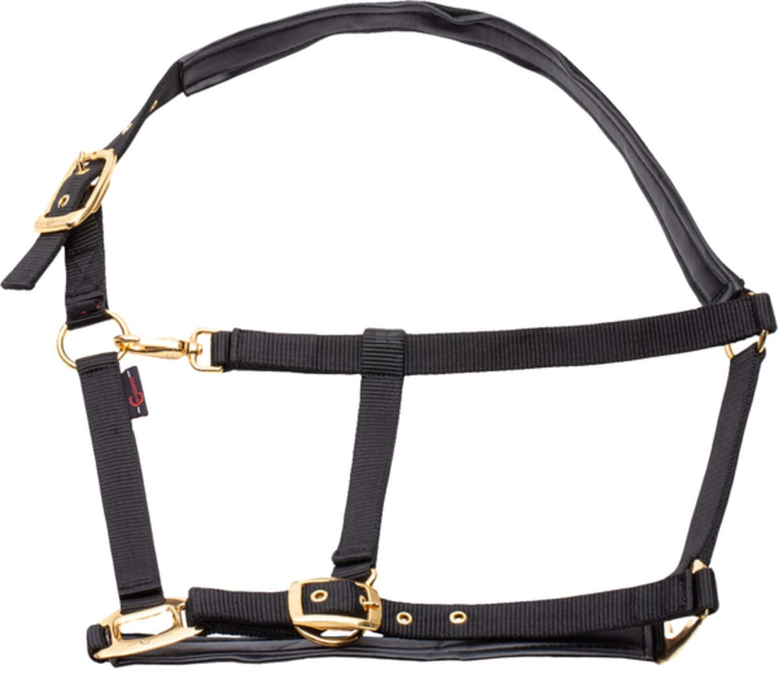 Kerbl Horse halter TopLine
