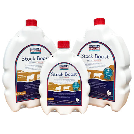 Stock boost