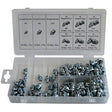 110pce Grease Nipple Assortment