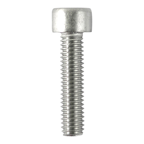 Timco Cap Socket Screw - Stainless Steel