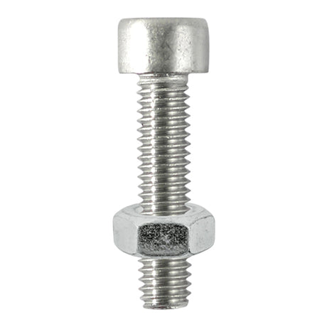 Timco Cap Socket Screw & Nut - Stainless Steel