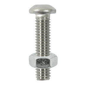 Timco Button Socket Screw & Nut - Stainless Steel