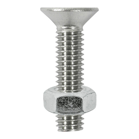 Timco Countersunk Socket Screw & Nut - Stainless Steel