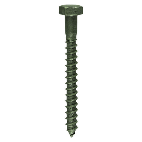 Timco Coach Screw - Exterior
