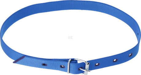Marking neck strap