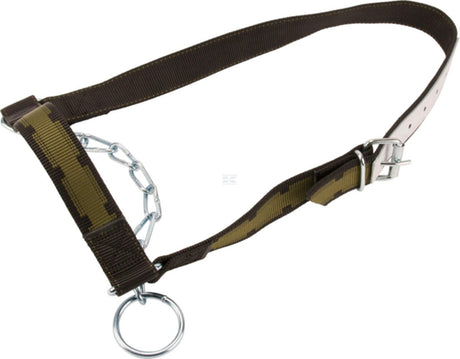 Cow halter with chin chain