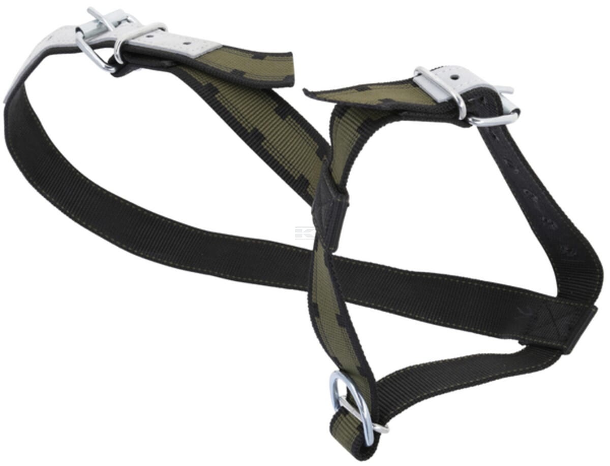 Halter for calves