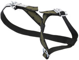 Halter for calves